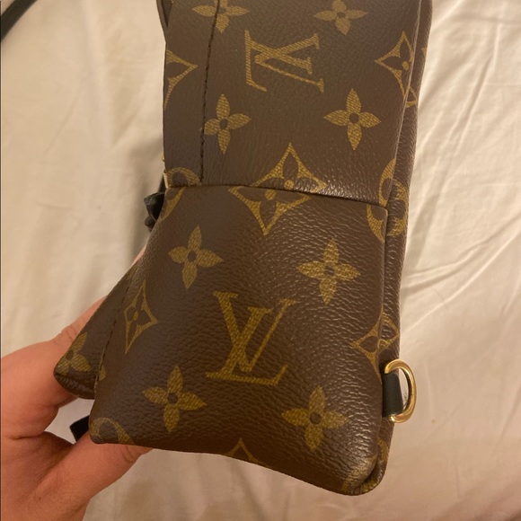 Louis Vuitton Palm Springs Mini Backpack - Picture 2 of 8